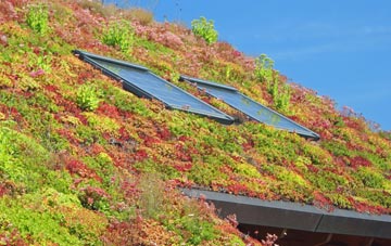 Alnham living roof systems