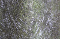 Alnham fibreglass roof work